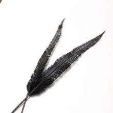 Long Cut Black Ostrich Feather